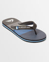 Boys 8-16 Molokai Art Beach Thongs