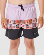 Boys 8-16 Pure Puff Block Volley Boardshorts