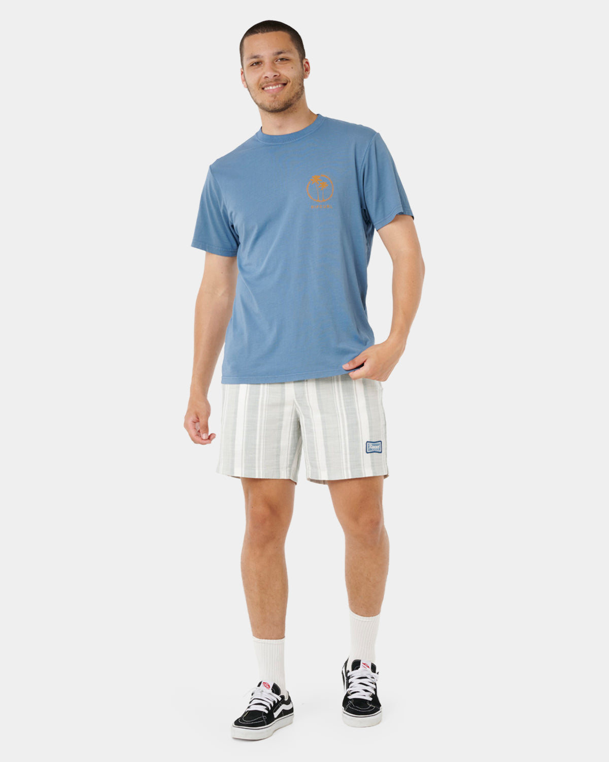 Mens Mod Cali Stripe Volley 17" Walkshorts