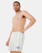 Mens Mod Cali Stripe Volley 17" Walkshorts