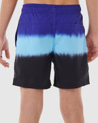BOYS 8-16 EVOLUTION DIP VOLLEY BOARDSHORTS