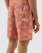 MENS STAMP BOARDSHORTS