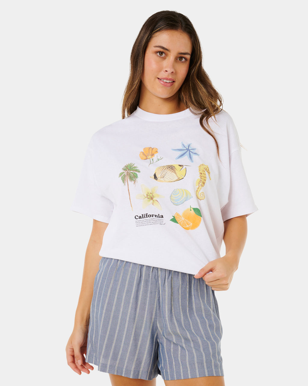 Womens Beach Days Pinstripe Shorts