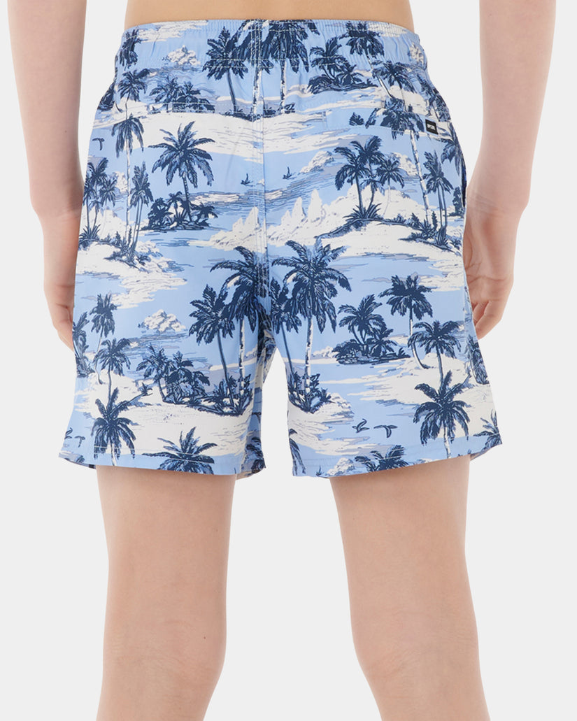 Boys 8-16 Dreamers Volley Boardshorts
