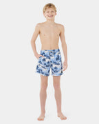 Boys 8-16 Dreamers Volley Boardshorts