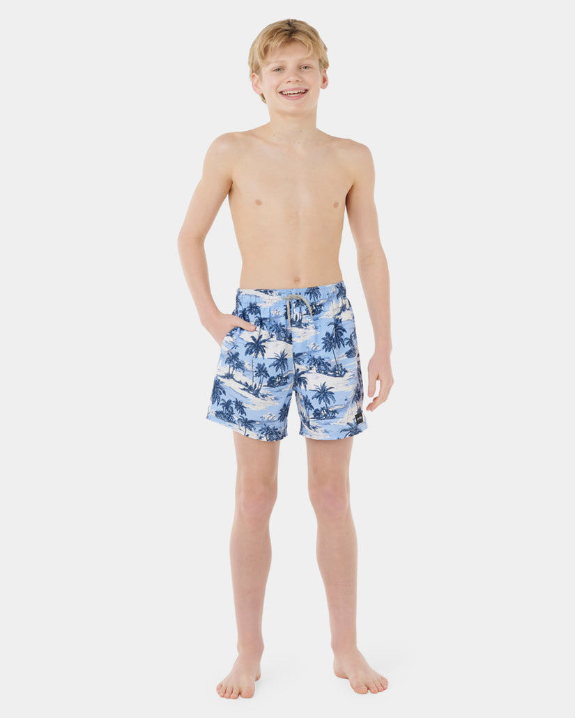 Boys 8-16 Dreamers Volley Boardshorts