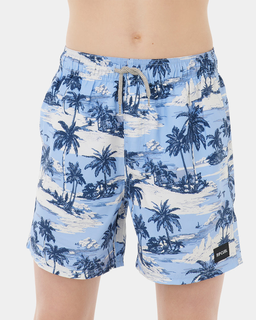 Boys 8-16 Dreamers Volley Boardshorts