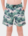 Boys 8-16 Dreamers Volley Boardshorts