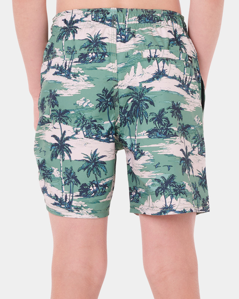Boys 8-16 Dreamers Volley Boardshorts