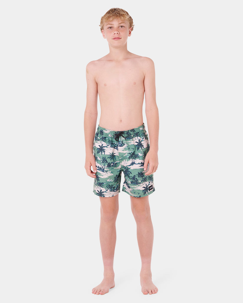 Boys 8-16 Dreamers Volley Boardshorts