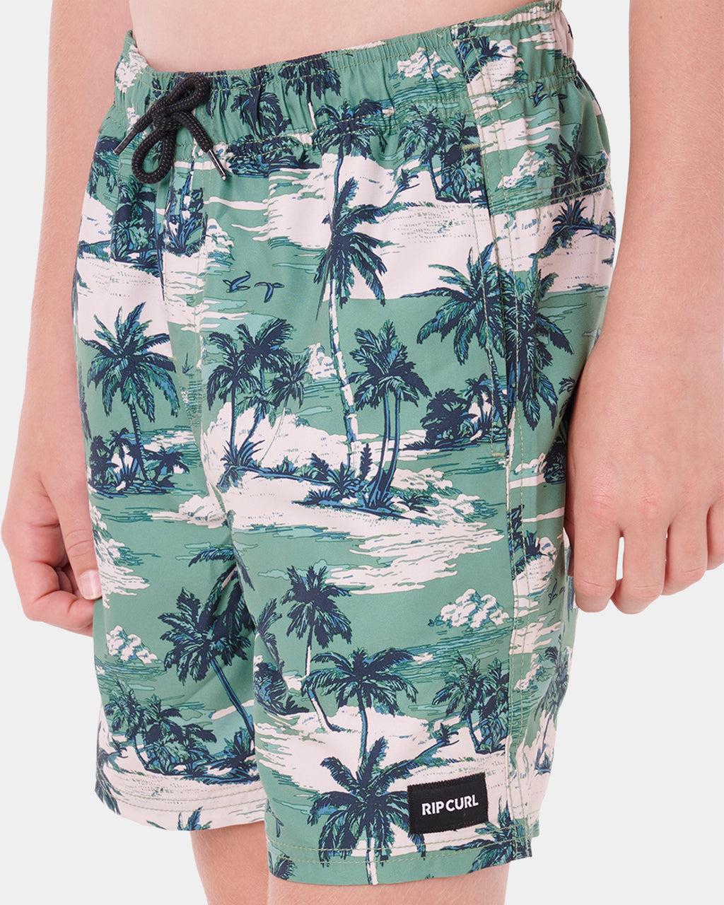 Boys 8-16 Dreamers Volley Boardshorts