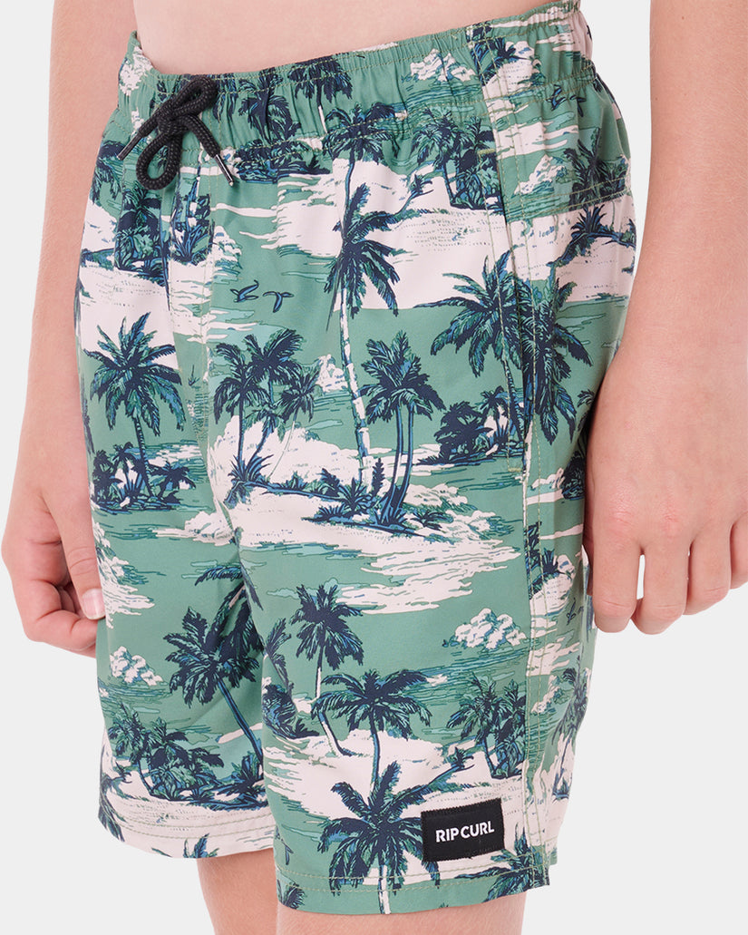 Boys 8-16 Dreamers Volley Boardshorts