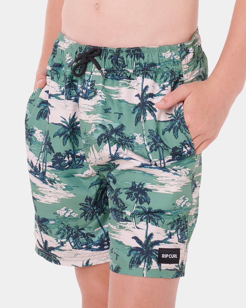 Boys 8-16 Dreamers Volley Boardshorts