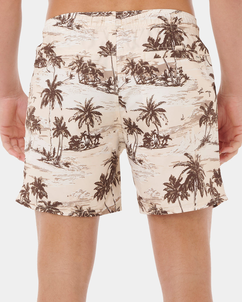 Mens Dreamers Volley 16" Boardshorts