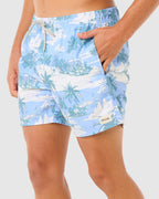 Mens Dreamers Volley Boardshorts