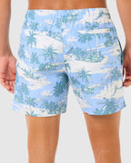 Mens Dreamers Volley Boardshorts