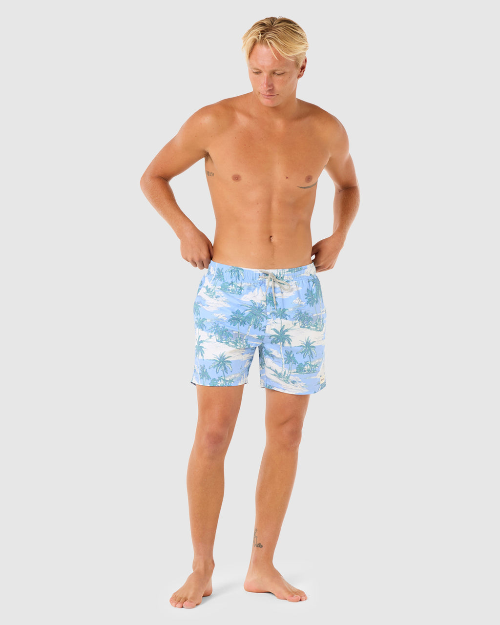Mens Dreamers Volley Boardshorts
