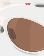 Eyejacket Redux Polarized Sunglasses