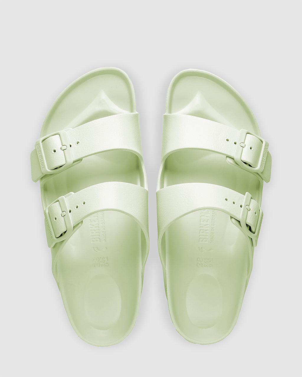 Arizona EVA Faded Lime Regular Slides