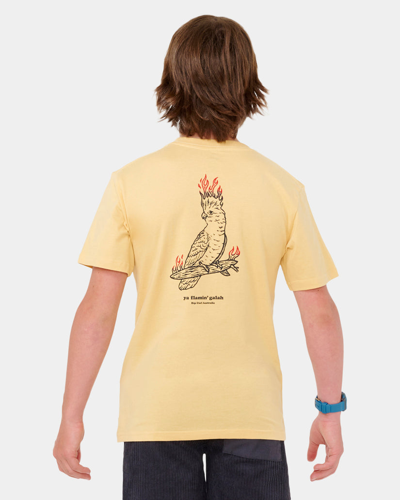 Boys 8-16 Flamin Galah T-Shirt