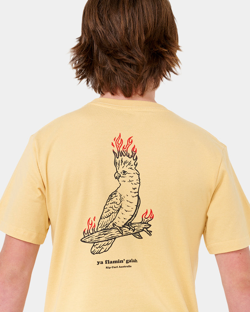 Boys 8-16 Flamin Galah T-Shirt