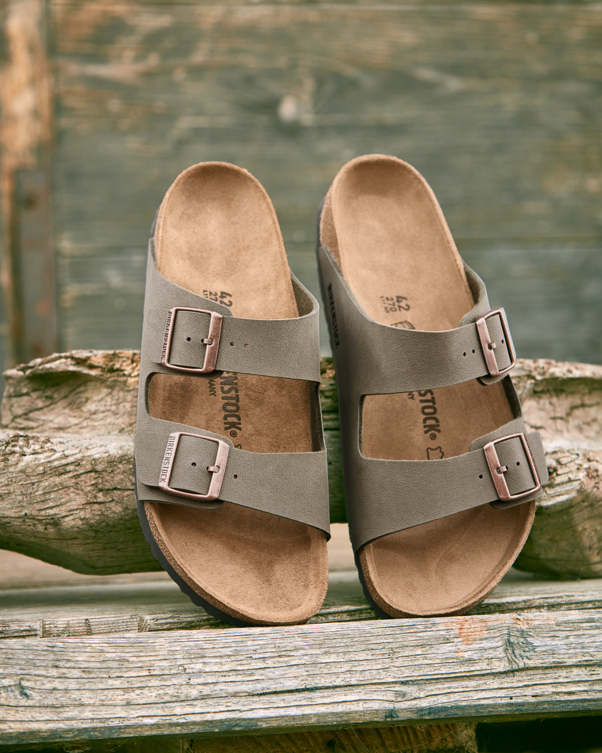 Arizona Birko-Flor Regular Slides