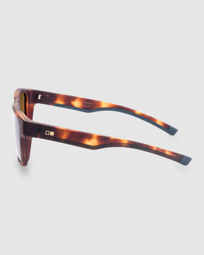 REQUEST SPORT MATTE AMBERWOOD