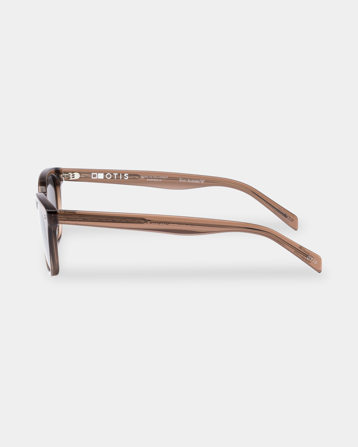 Chorus Sunglasses