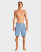 Mens Wategos Lo Tide 19" Boardshorts