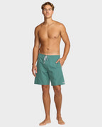 Mens Wategos Lo Tide 18.5 Boardshorts