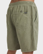 Mens Larry Cord 18" Walkshorts