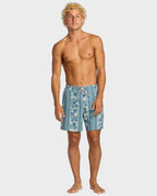 Mens Sundays Layback 17" Swim Shorts