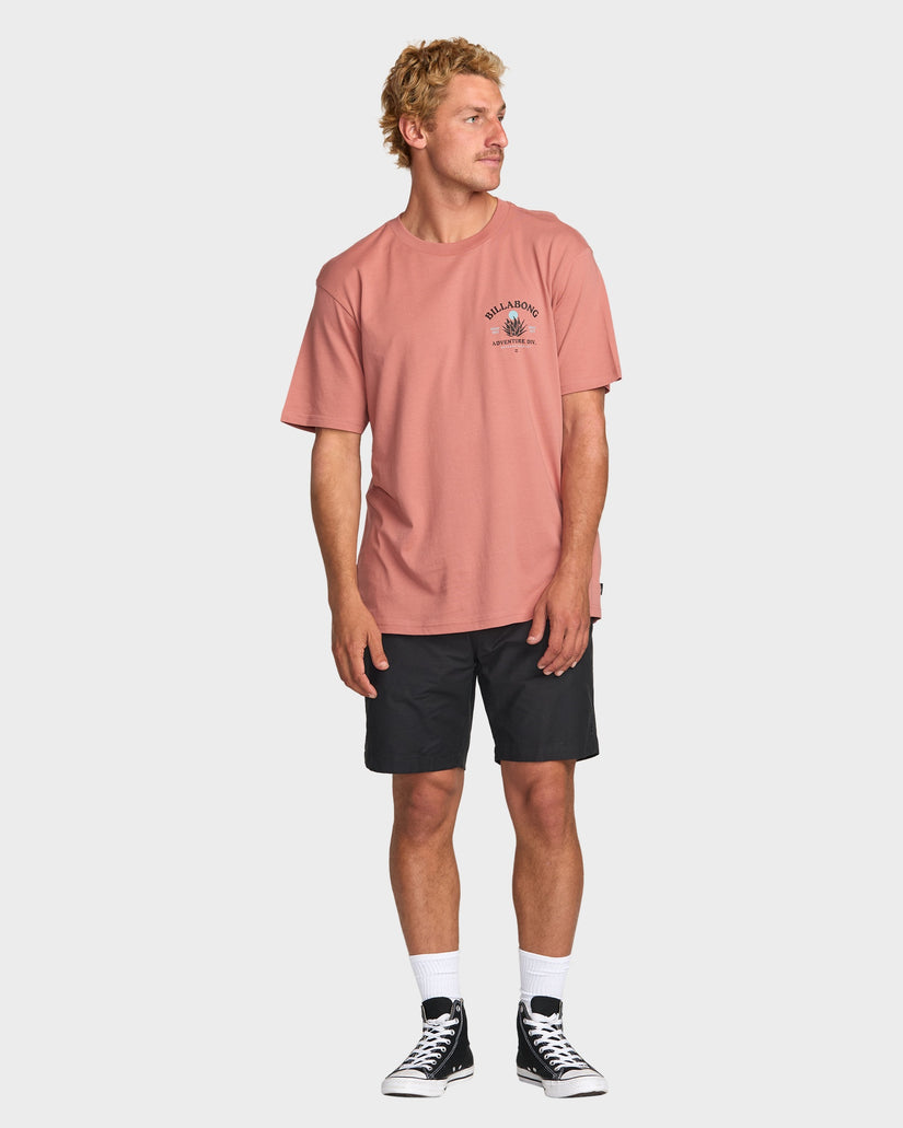 Mens Agave A/DIV T-Shirt