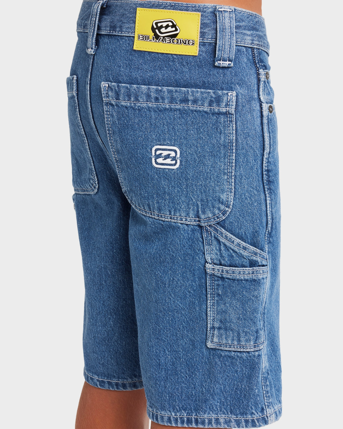 Boys 8-16 Bad Dog Walkshorts