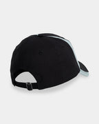 Mens Spec 73 6 Panel Dad Cap