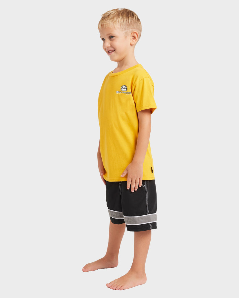Boys 2-7 Throw On 13" Boardshorts
