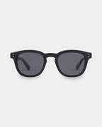 Havana Polarized Sunglasses