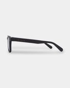 Havana Polarized Sunglasses
