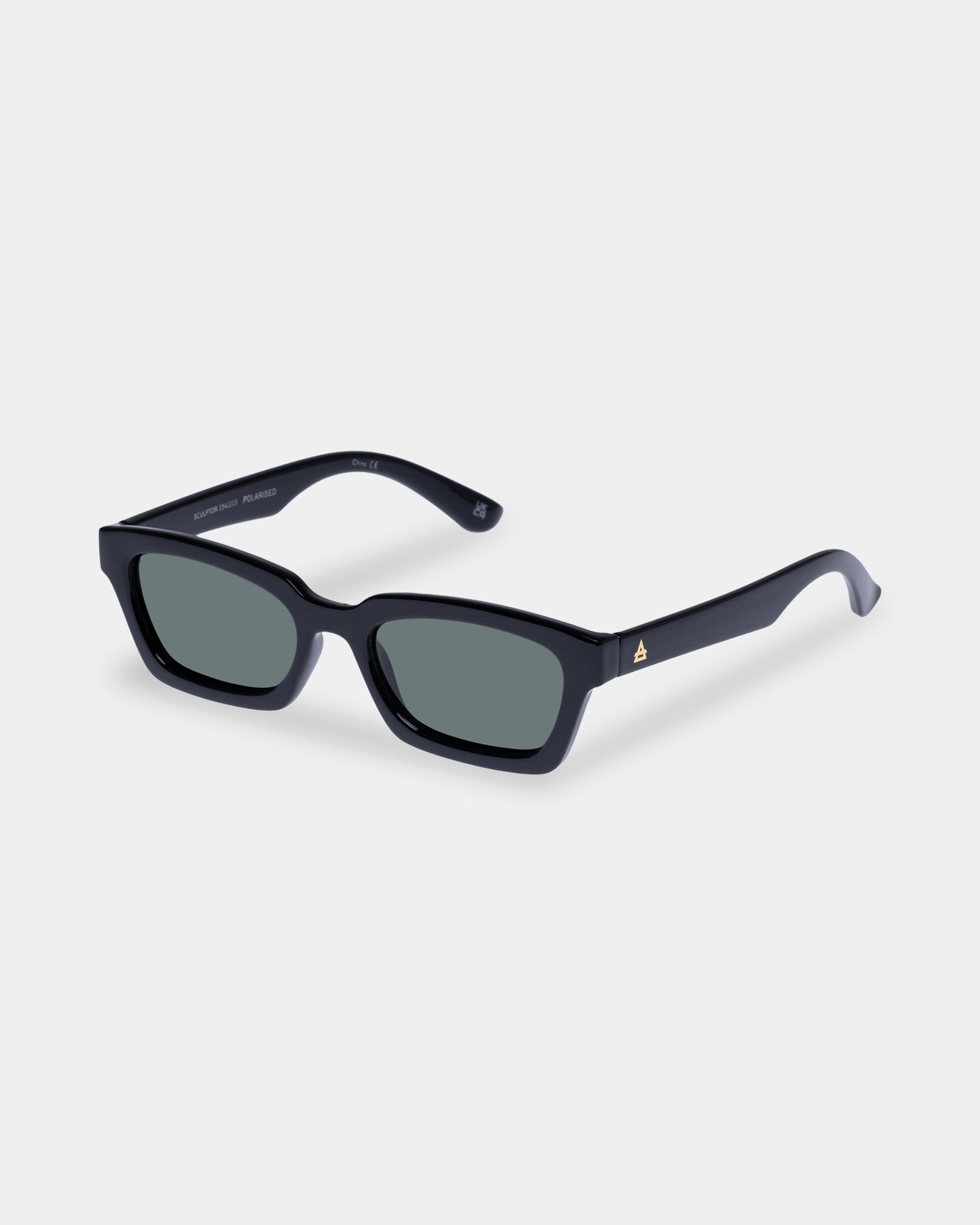 Sculptor Polarised Sunglasses