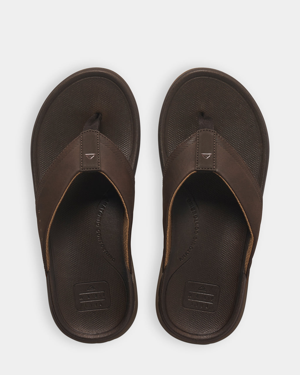 Mens Cushion Norte Thongs