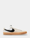 Unisex SB Zoom Blazer Low Pro GT Skate Shoes