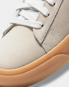 Unisex SB Zoom Blazer Low Pro GT Skate Shoes