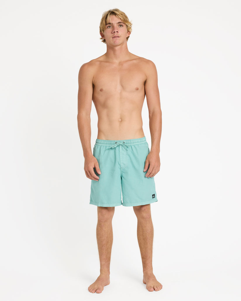 Mens Everyday Surfwash 17" Swim Shorts