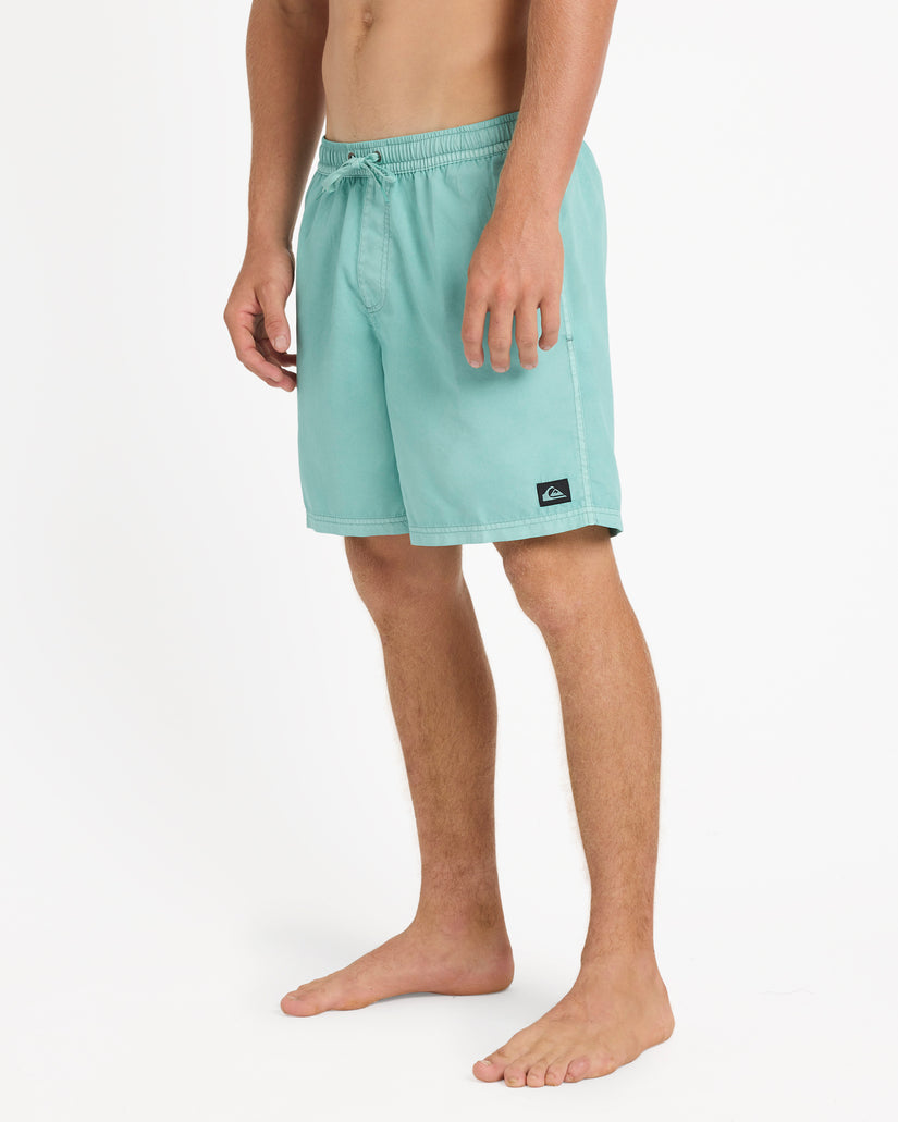 Mens Everyday Surfwash 17" Swim Shorts