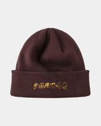 Mens Future Beanie