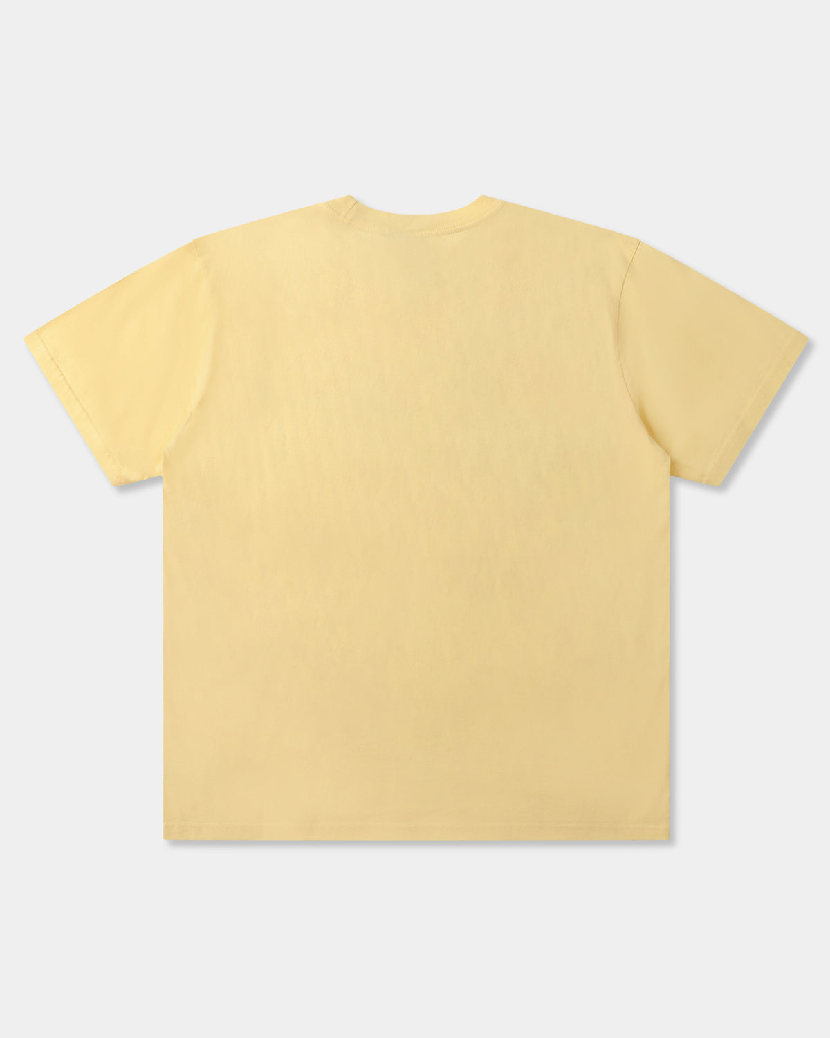 Mens Parliament T-Shirt