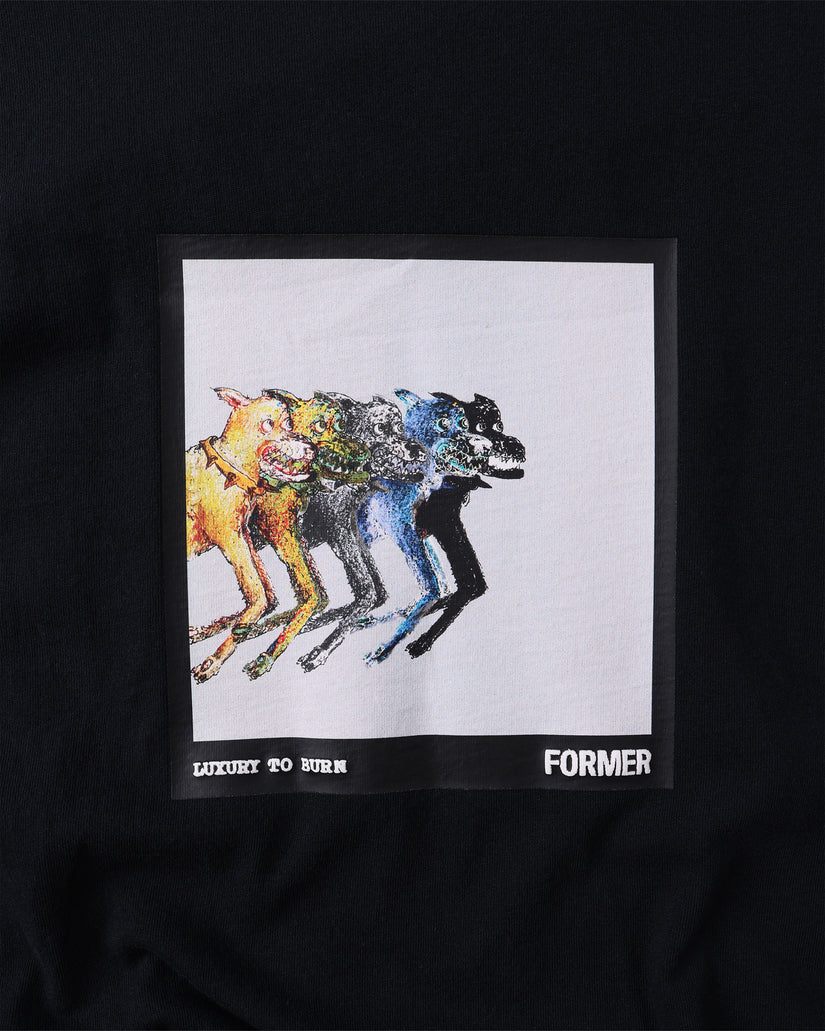 Mens Erratic T-Shirt