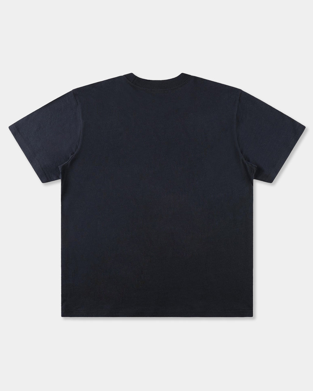 Mens Establish T-Shirt