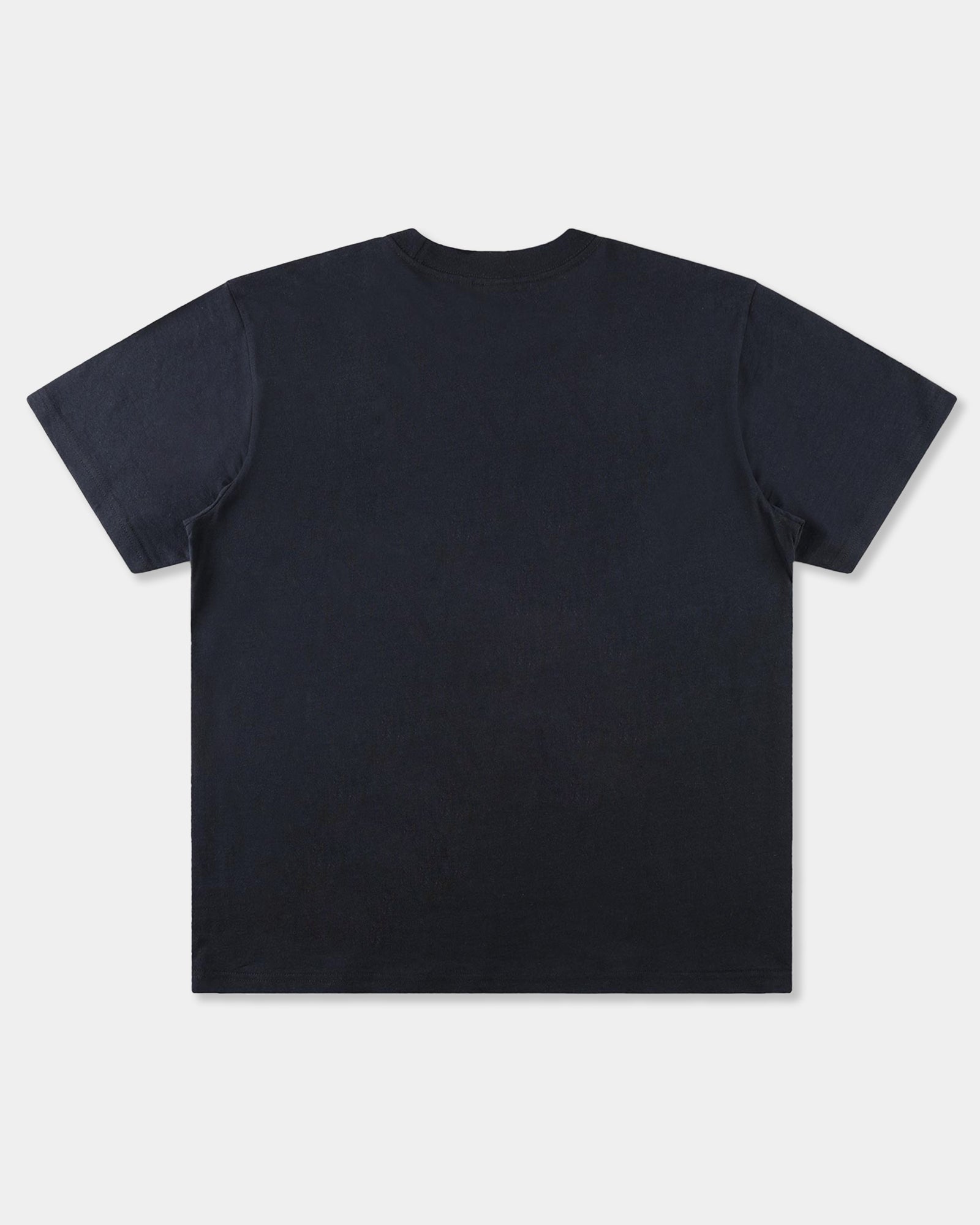 Mens Establish T-Shirt