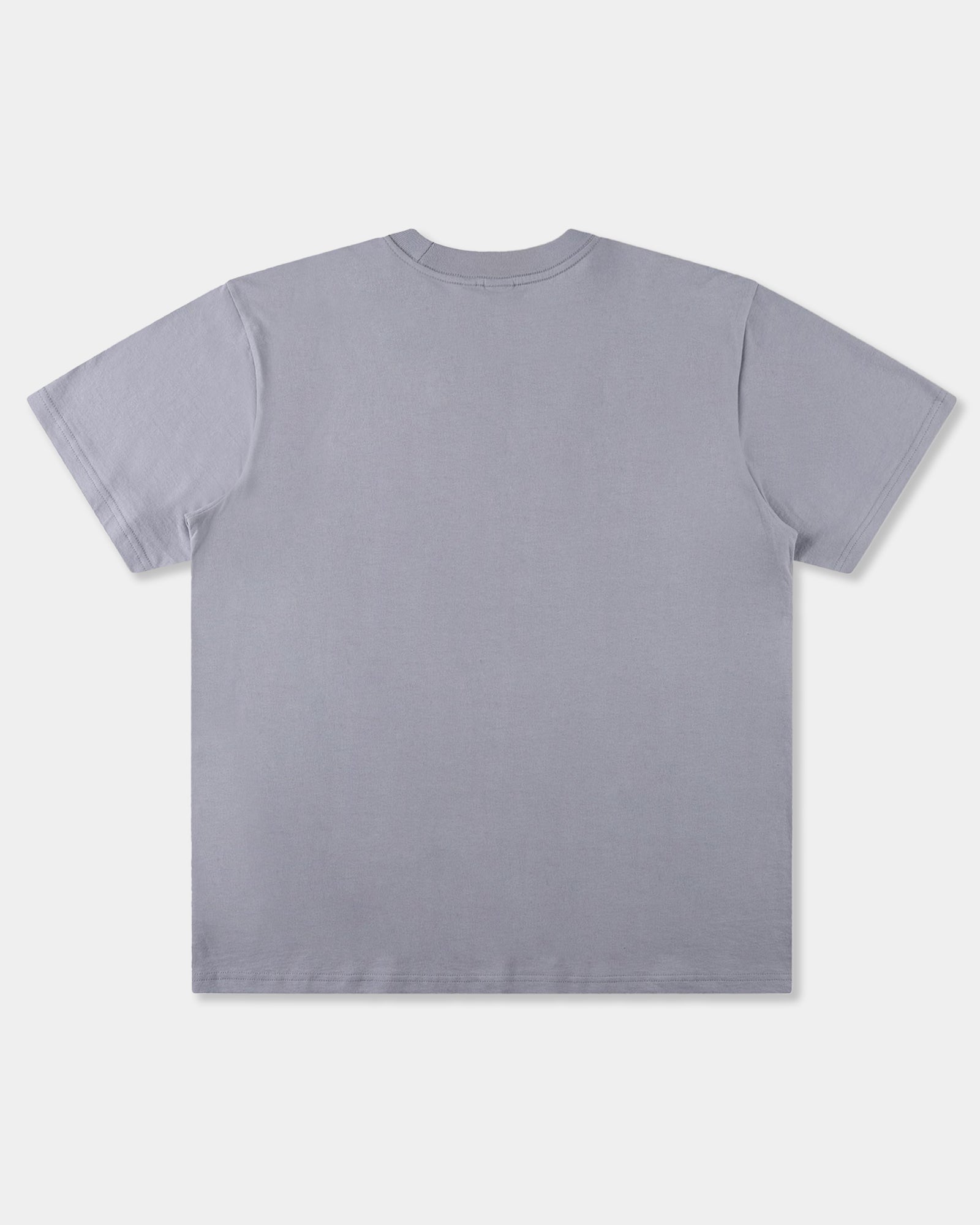 Mens Establish T-Shirt